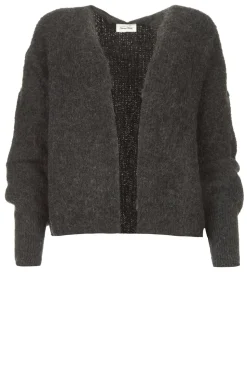 Knitted Cardigan East | Dark Grey... | American Vintage | Little Soho