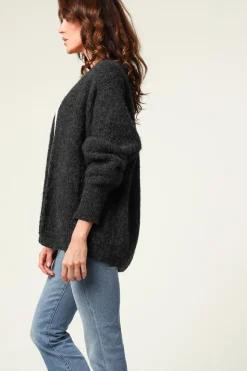 Knitted Cardigan East | Dark Grey... | American Vintage | Little Soho