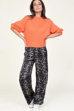 Leopard Print Cargo Pants Leoleo | Animal Print... | Co'Couture | Little Soho