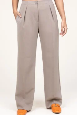 Pleated Trousers Fique | Taupe... | Second Female | Little Soho