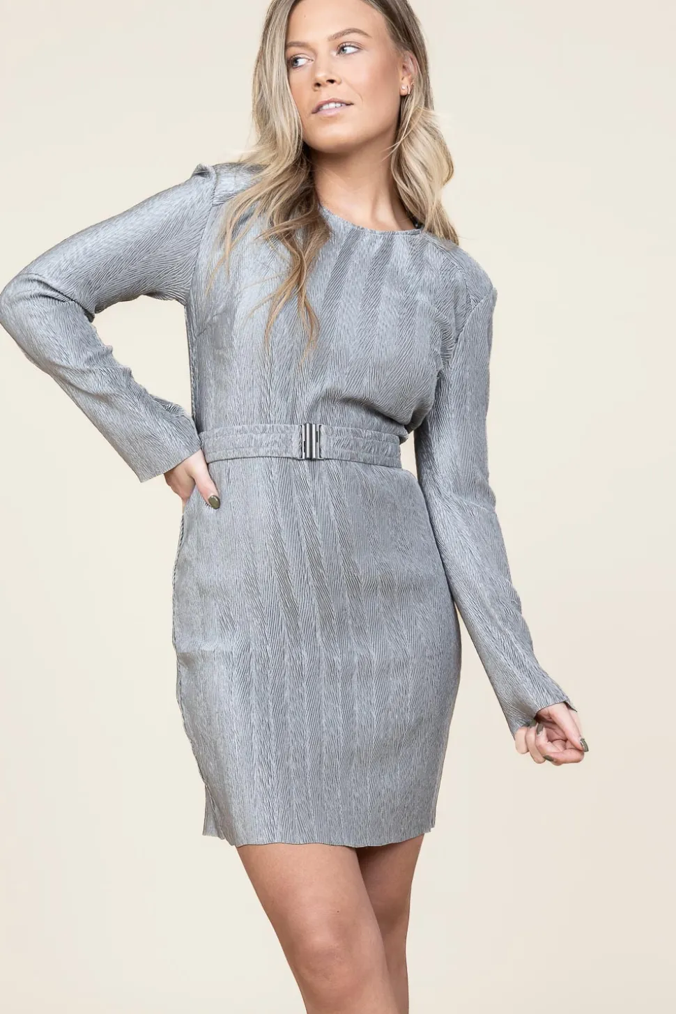 Shiny Jacquard Dress Arone | Silver... | Dante 6 | Little Soho