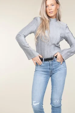 Shiny Jacquard Top Liz | Silver... | Dante 6 | Little Soho