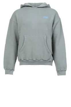 Soft Fleece Hoodie Izubird | Green... | American Vintage | Little Soho