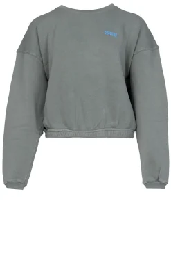 Soft Fleece Sweater Izubird | Green... | American Vintage | Little Soho