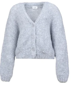Soft Wool Mix Cardigan Zolly | Grey... | American Vintage | Little Soho