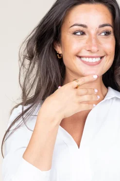 Stainless Steel Gold Plated Ring Melt | Gold... | Bandhu | Little Soho