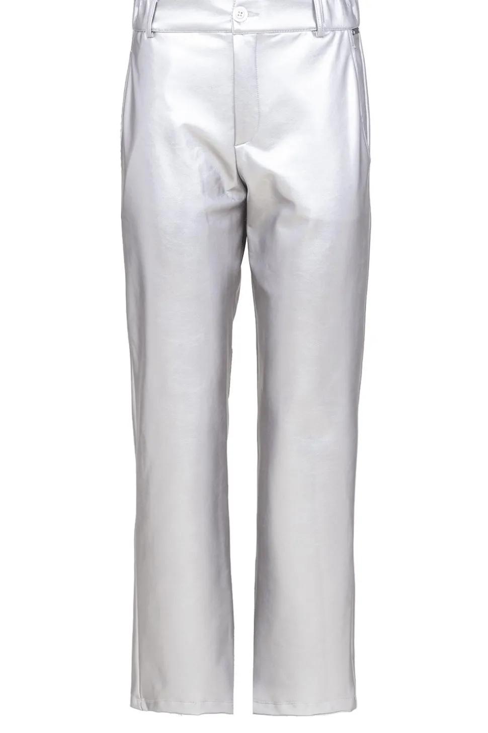 Stretchy Metallic Pants Great | Silver... | D-Etoiles Casiope | Little Soho