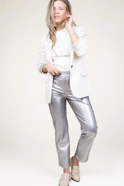 Stretchy Metallic Pants Great | Silver... | D-Etoiles Casiope | Little Soho